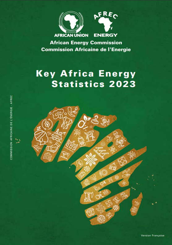 Statistiques clés sur l’énergie en Afrique 2023