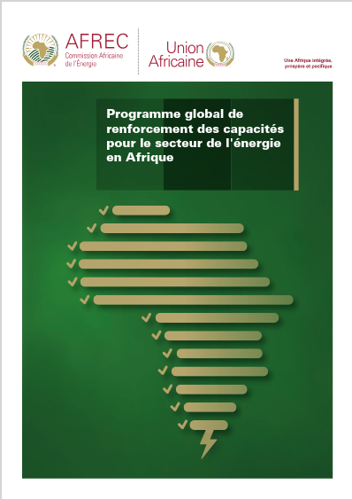 Programme global de renforcement des capacités pour le secteur de l'énergie en Afrique