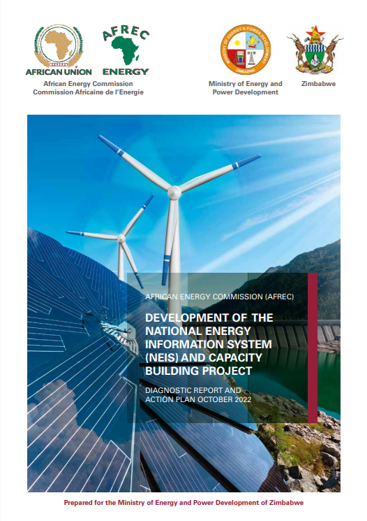 Zimbabwe - DIAGNOSTIC REPORT AND ACTION PLAN