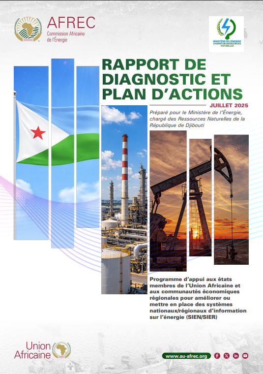 Djibouti - DIAGNOSTIC REPORT AND ACTION PLAN