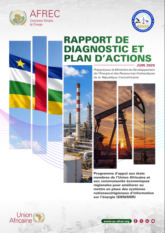 Central African Republic- DIAGNOSTIC REPORT AND ACTION PLAN