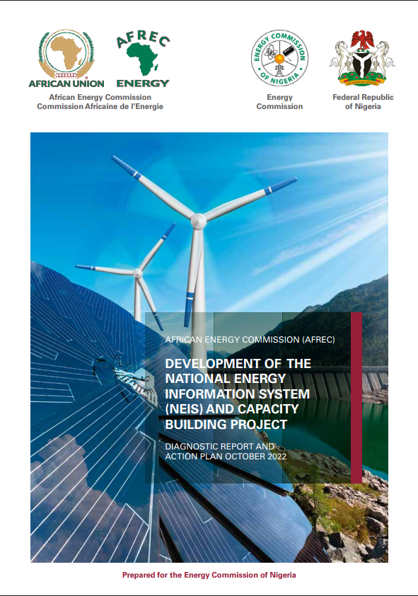 NIgeria - DIAGNOSTIC REPORT AND ACTION PLAN