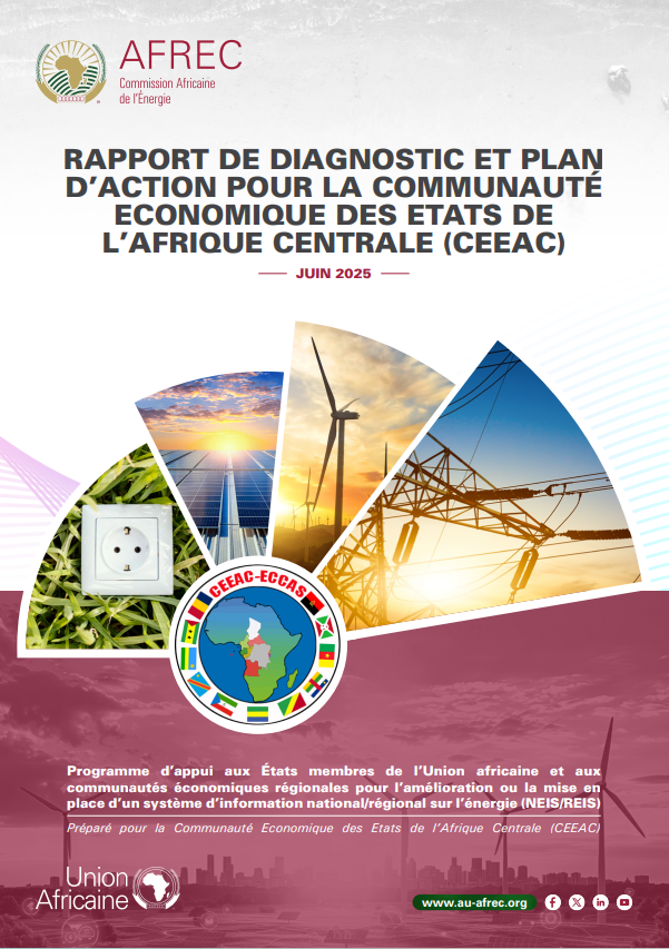 Diagnostic report and action plan for the Economic Community of Central African States (ECCAS)