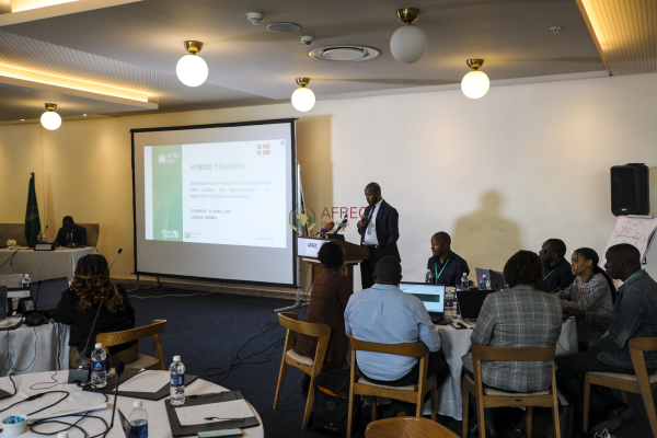 Power and Grid loss and Reduction Action Plans in Africa  Hybrid Training
