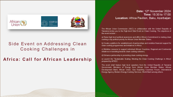 AFREC Clean Cooking Side Event