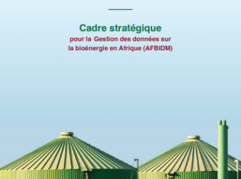 Cadre stratégique pour la gestion des données