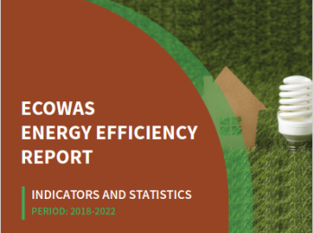ECOWAS Energy Efficiency Report