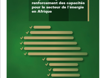 Programme global de renforcement des capacités pour le secteur de l'énergie en Afrique
