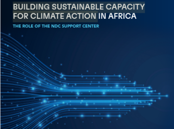White Paper - Building Sustainable Capacity for Climate Action in Africa