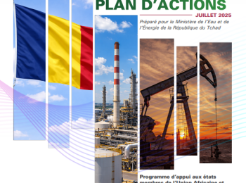 Chad - DIAGNOSTIC REPORT AND ACTION PLAN