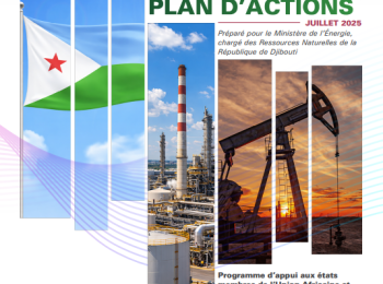Djibouti - DIAGNOSTIC REPORT AND ACTION PLAN