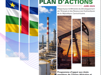 Central African Republic- DIAGNOSTIC REPORT AND ACTION PLAN