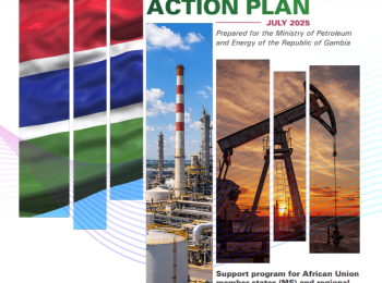 Gambia DIAGNOSTIC REPORT AND ACTION PLAN