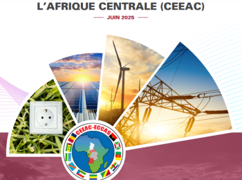 Diagnostic report and action plan for the Economic Community of Central African States (ECCAS)