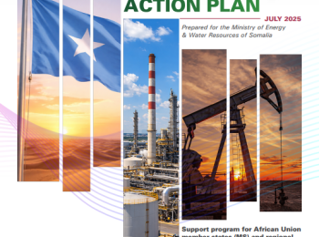 Somalia DIAGNOSTIC REPORT AND ACTION PLAN
