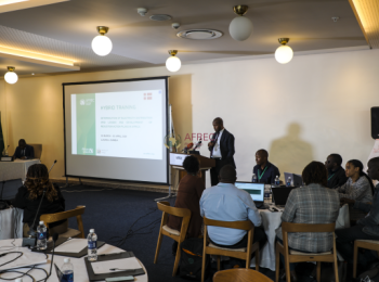 Power and Grid loss and Reduction Action Plans in Africa  Hybrid Training