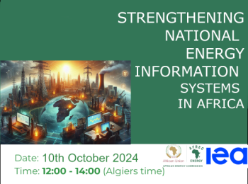 Renforcement des systèmes nationaux d’information énergétique en Afrique