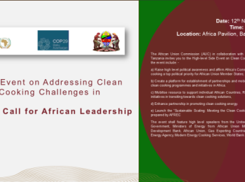AFREC Clean Cooking Side Event