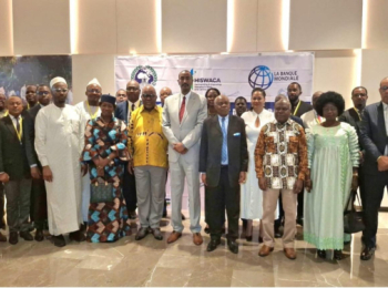 CEMAC and AFREC Advance Regional Energy Information System for Central Africa