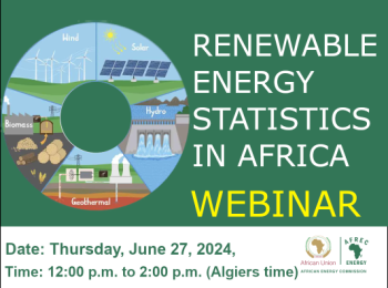 Webinar on Renewable Energy Statistics in Africa