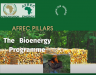 AFREC Strategic Pillars