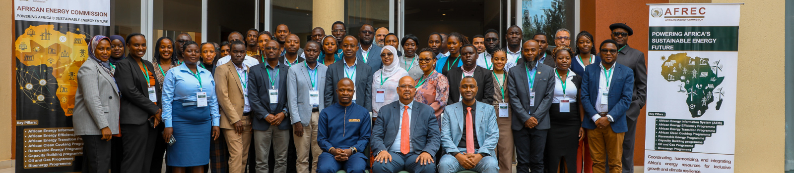 MEPS Development, Implementations and Adoption Hybrid Training